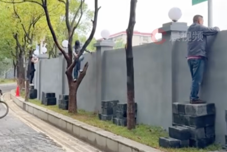 bt, 迷有多宠